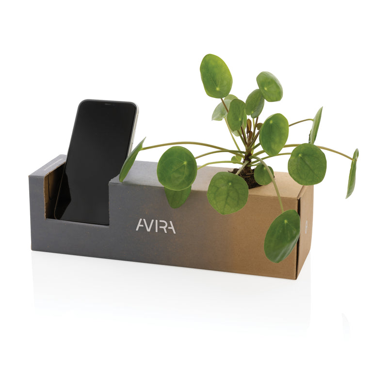 Load image into Gallery viewer, Avira Atik RCS 1L recycled PET bottle drinkware, clear and eco-friendly with a screw cap and ergonomic design.