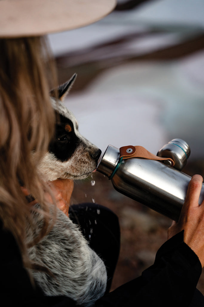 Load image into Gallery viewer, Small 500ml insulated water bottle by Black + Blum, showing sleek drinkware with a stainless steel finish and secure lid.
