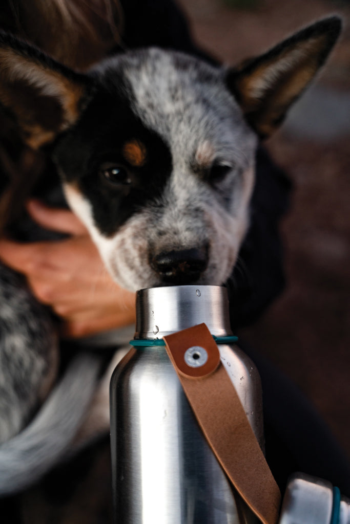 Load image into Gallery viewer, Large 750ml insulated water bottle by Black + Blum, with stainless steel construction and leak-proof lid for keeping drinks cold or hot.