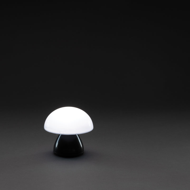 Load image into Gallery viewer, Luming RCS recycled plastic USB re-chargeable table lamp - Custom Wood Designs