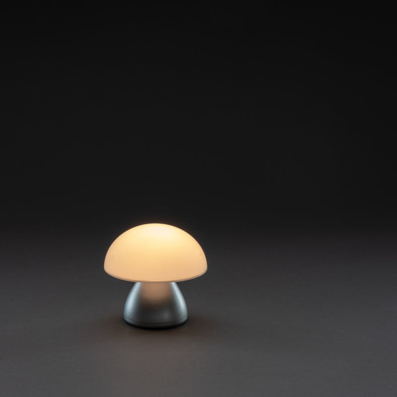 Load image into Gallery viewer, Luming RCS recycled plastic USB re-chargeable table lamp - Custom Wood Designs