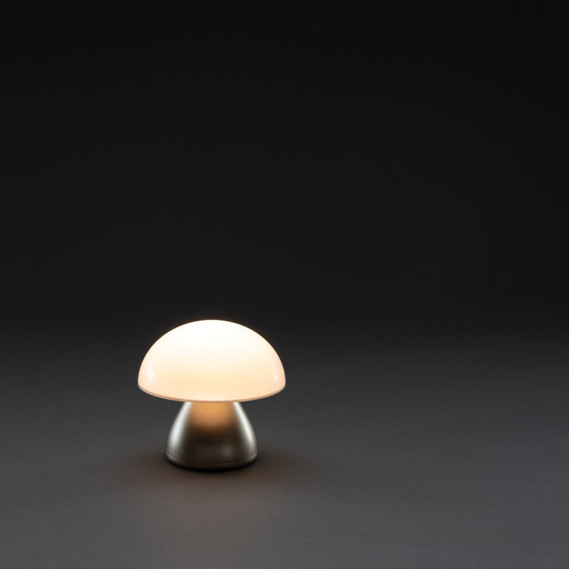 Load image into Gallery viewer, Luming RCS recycled plastic USB re-chargeable table lamp - Custom Wood Designs