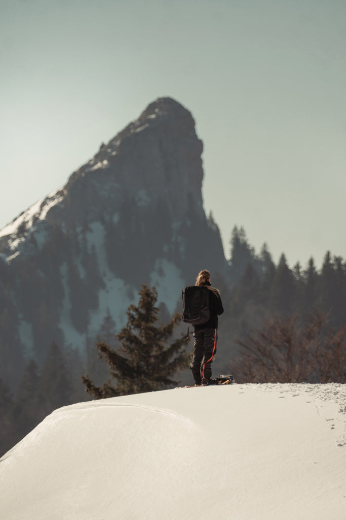 Load image into Gallery viewer, Bobby Explore backpack - Custom Wood Designs