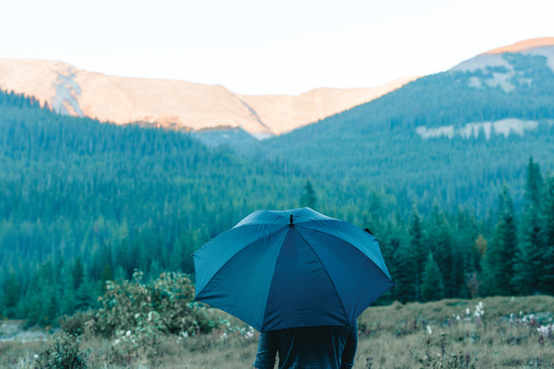 Load image into Gallery viewer, Swiss Peak Aware™ ultra-light 25-inch aluminum manual umbrella open, showing its compact, lightweight design and sturdy frame.