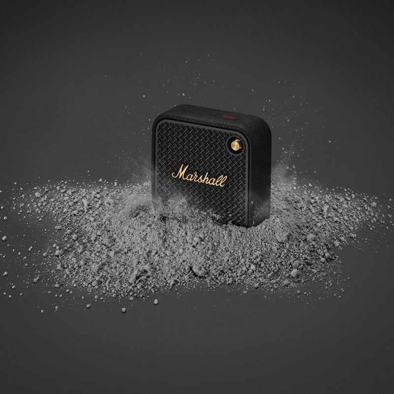 Load image into Gallery viewer, Marshall Willen II 17H+ Speaker