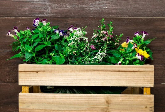 Plant Paradise: Creating a Stunning Indoor Garden with Wooden Crates