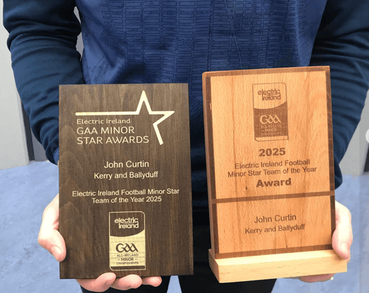 Custom Sports Trophies Ireland - Custom Wood Designs