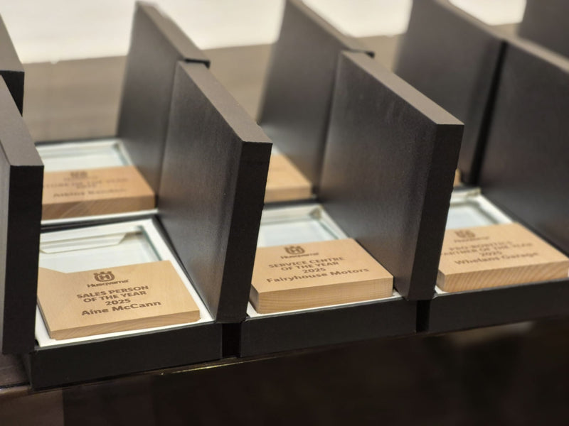 Load image into Gallery viewer, Award Plaques pack of 10-Trophies &amp; Awards
