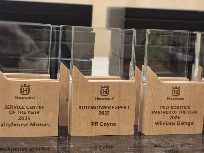 Load image into Gallery viewer, Award Plaques pack of 10-Trophies &amp; Awards
