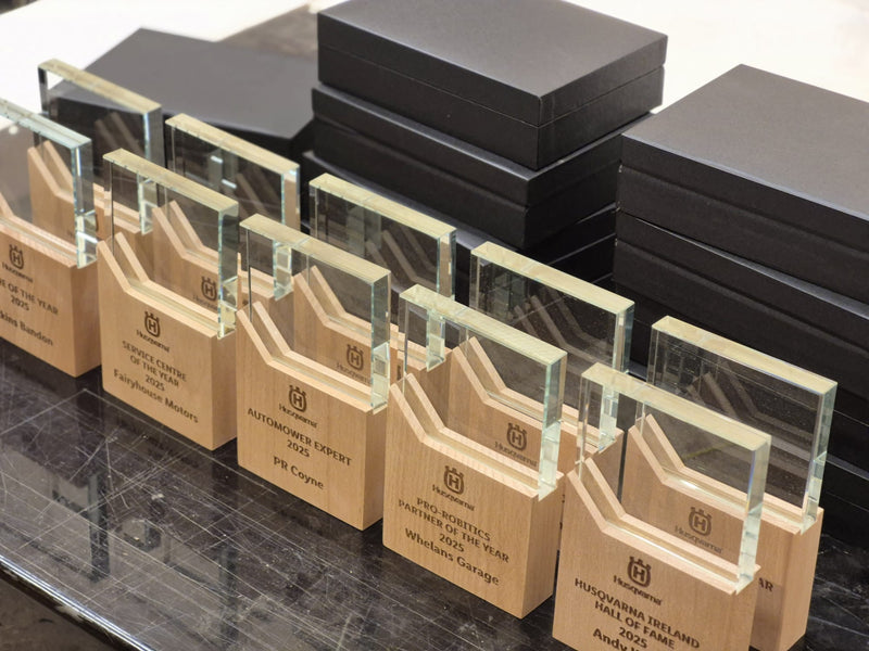 Load image into Gallery viewer, Award Plaques pack of 10-Trophies &amp; Awards
