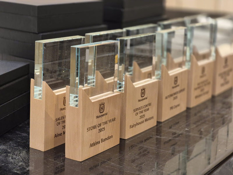 Load image into Gallery viewer, Award Plaques pack of 10-Trophies &amp; Awards
