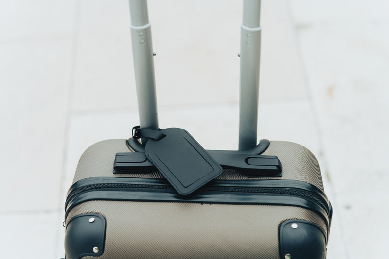Load image into Gallery viewer, Globetrack RCSrPolyester luggage tag with worldwide locating - Custom Wood Designs
