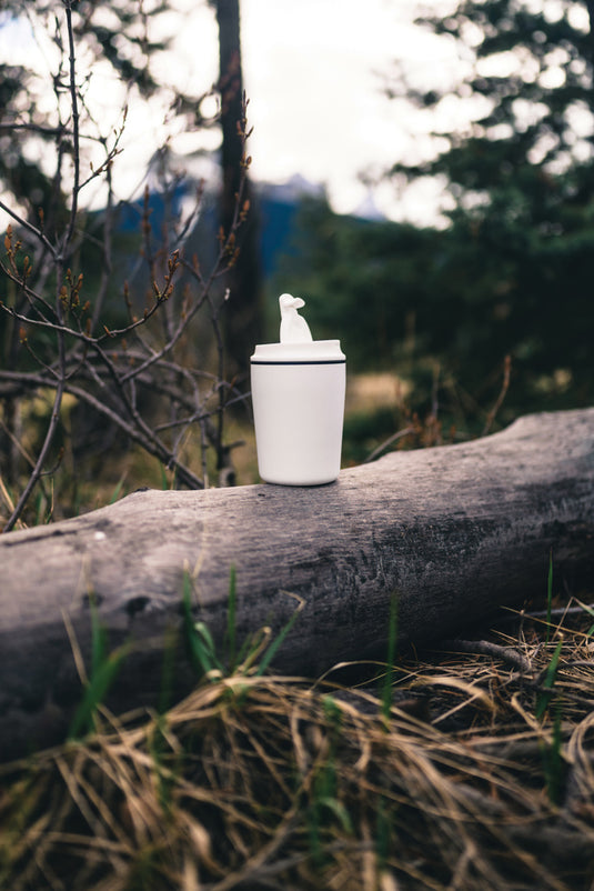 XD Xclusive Pico Barista RCS coffee mug, 220ML, in tube gift box, stylish drinkware for coffee lovers