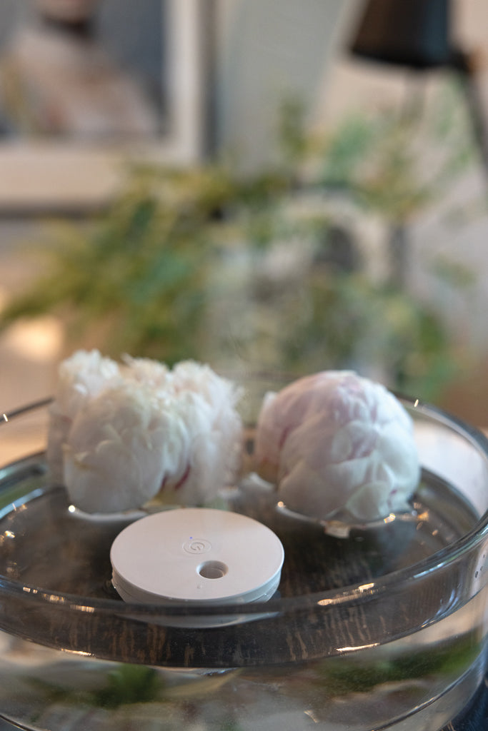 Load image into Gallery viewer, XD Collection Breevia RCS rechargeable floating humidifier for home and living, shown with water and mist in a modern setting.
