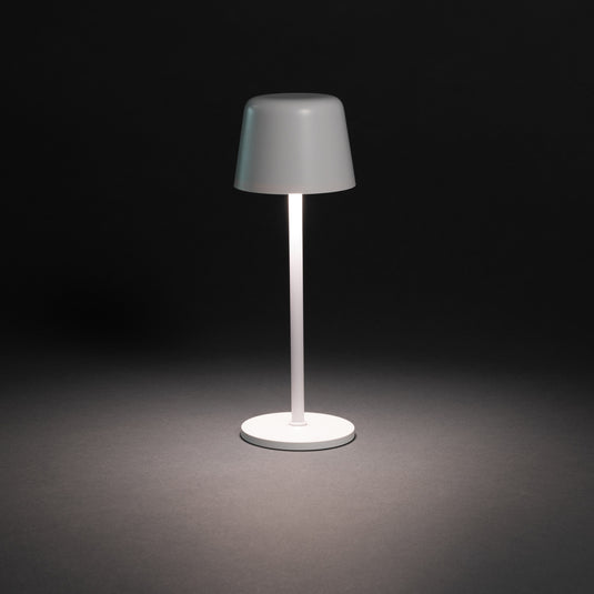 Zenic RCS recycled plastic USB re-chargable table lamp - Custom Wood Designs