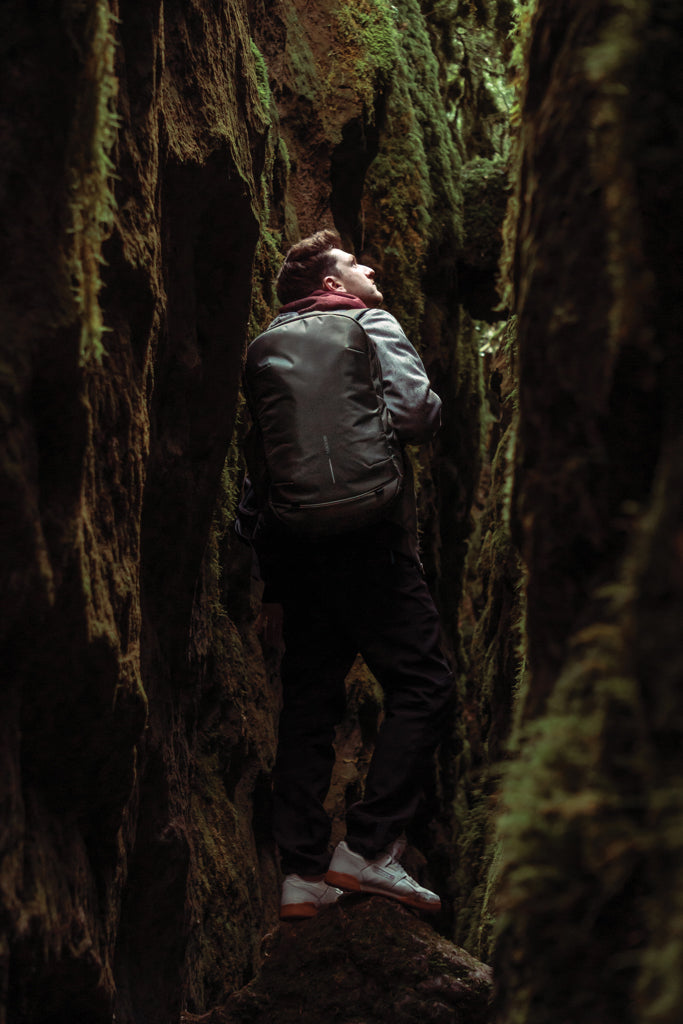 Load image into Gallery viewer, Bobby Explore backpack
