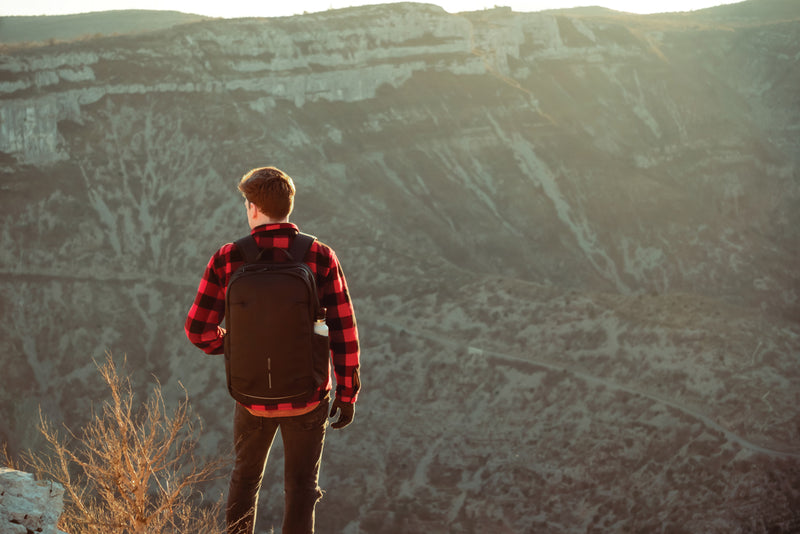 Load image into Gallery viewer, Bobby Explore backpack
