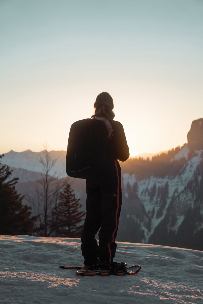 Load image into Gallery viewer, Bobby Explore backpack
