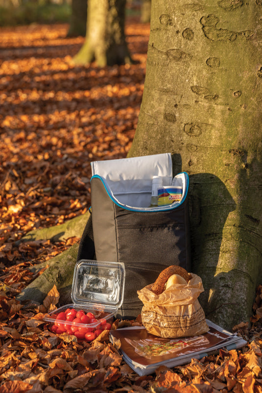 XD Collection Explorer outdoor cooler backpack with insulated compartments and adjustable straps, ideal for camping and hiking trips.