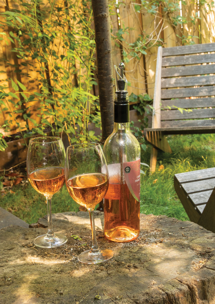 Load image into Gallery viewer, Vino Wine chiller stick - Custom Wood Designs
