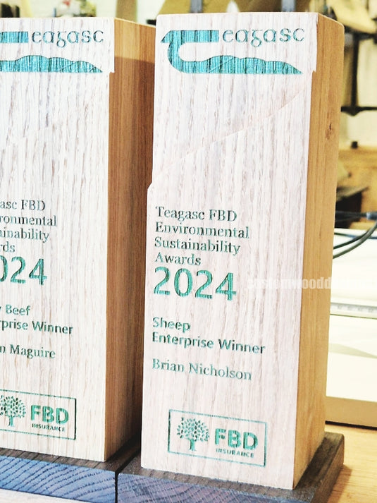 Teagasc FBD Environmental Sustainability Awards wood