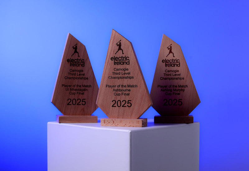 Load image into Gallery viewer, Custom Wood Designs award trophy with engraved plaque, crafted from wood, designed for custom-made awards and recognition.
