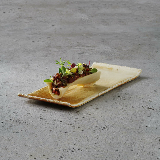 Fine Dine Constancy 270mm shallow coupe plate without rim, elegant ceramic dinnerware for serving food.