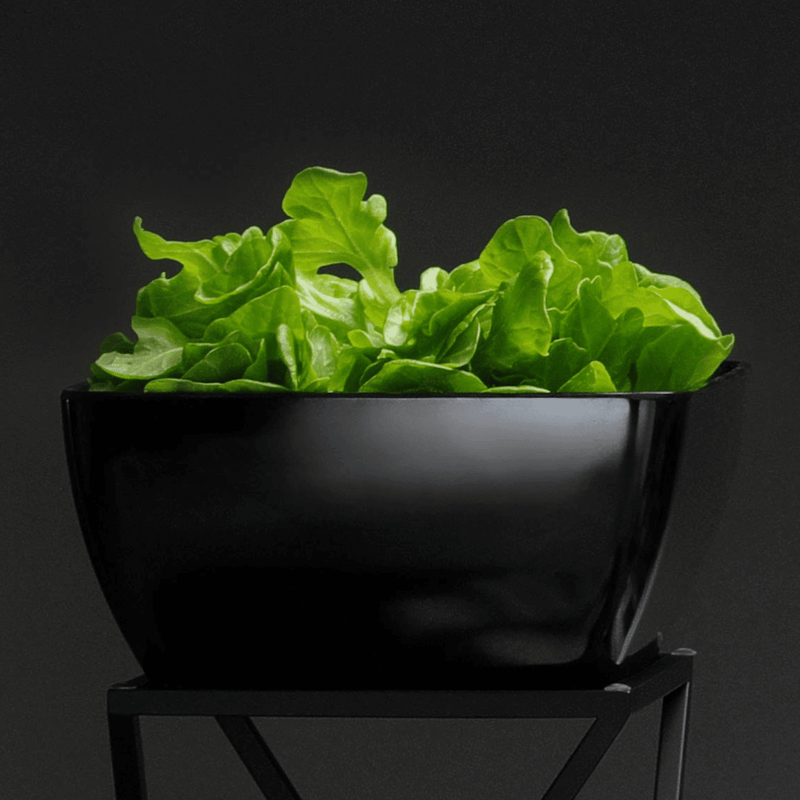 Load image into Gallery viewer, Square Melamine Bowl 250×250×120mm – Graphite (Fine Dine Melamina) - Custom Wood DesignsSquare melamine bowl by Fine Dine in graphite color, measuring 250x250x120mm, suitable for serving and dining.Square bowl562673
