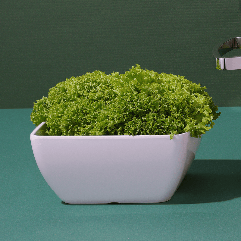 Load image into Gallery viewer, Square Melamine Bowl 250×250×120mm – White (Fine Dine Melamina) - Custom Wood DesignsWhite square melamine bowl by Fine Dine, measuring 250x250x120mm, shown on a clean table with a modern design.Square bowl562697
